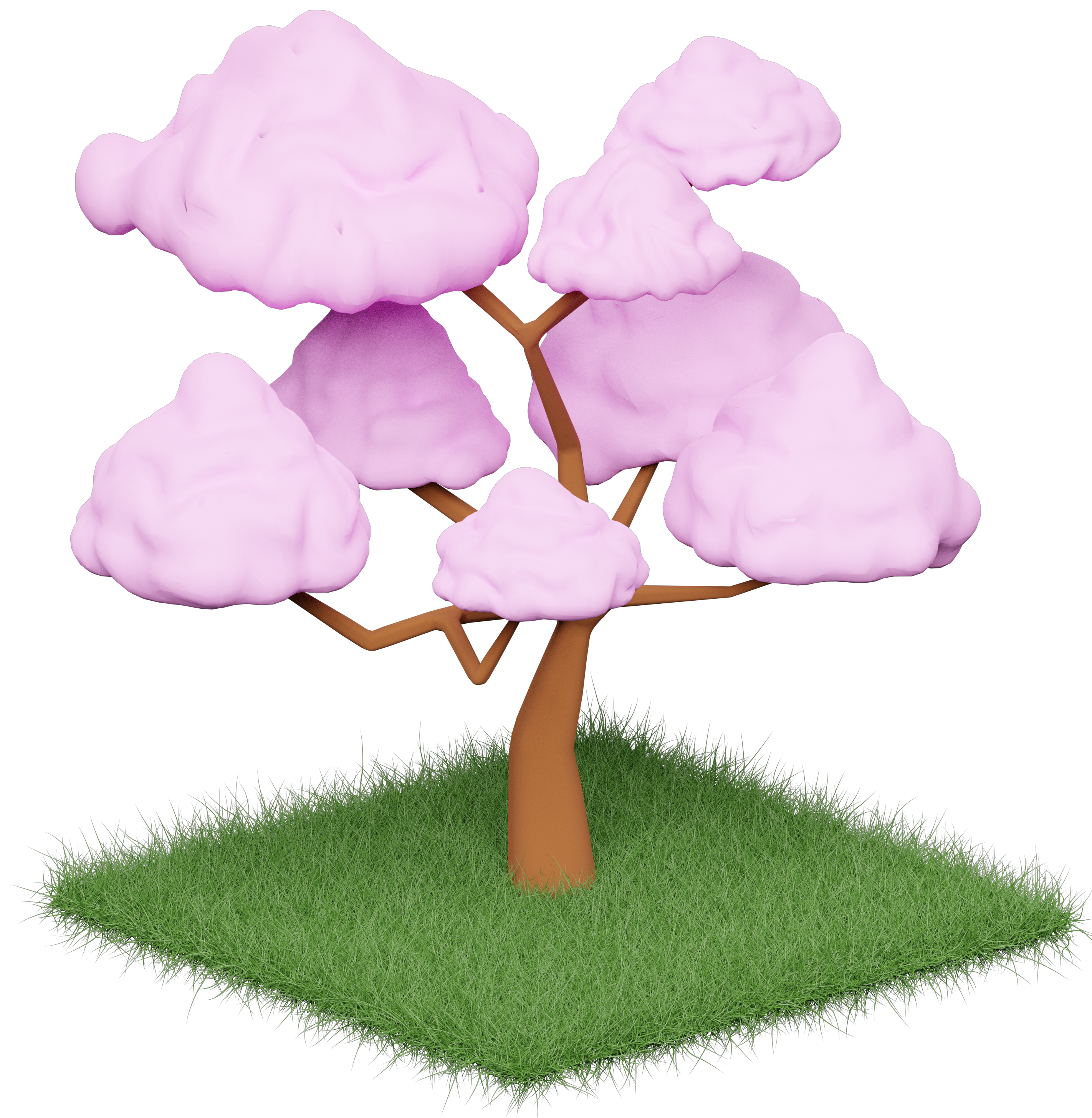 Blossom Tree